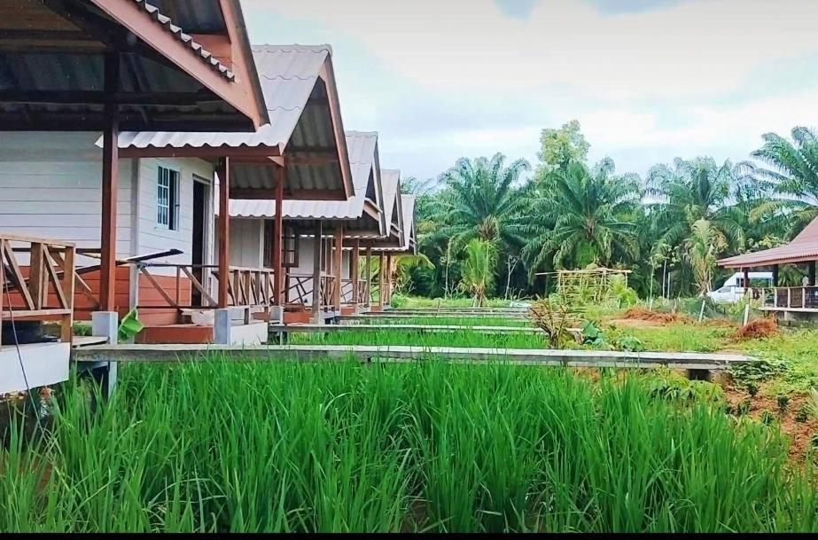 ปารมีฟาร์มสเตย์ Takuapa Exterior foto